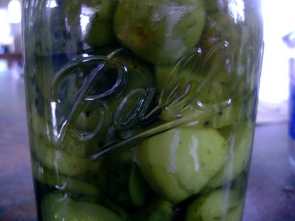Almost Homemade Sweet Dill Pickles
