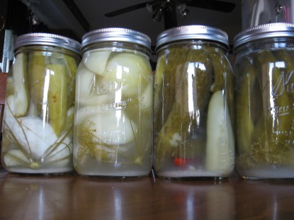Old Time Dill Pickles