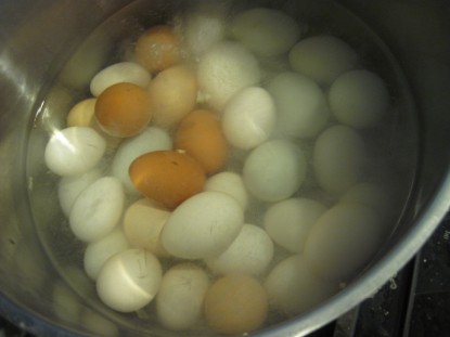 How to Hard Boil Fresh Eggs