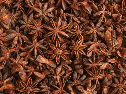 P6_Star anise_iStock_000008988189Small
