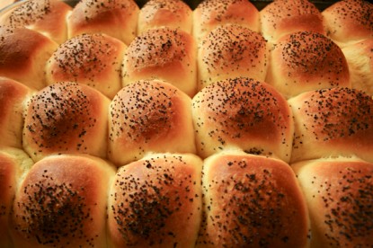 Squash Dinner rolls1