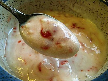 Yogurt -- Crockpot Method