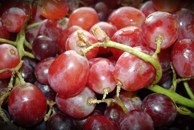beautiful red grapes