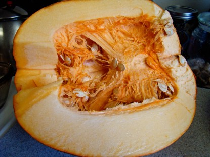 big pumpkin half