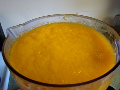 big pumpkin puree in blender