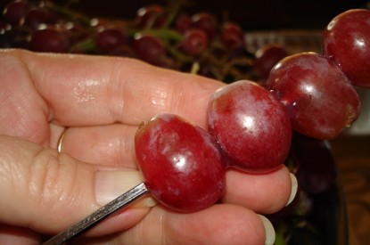 grapes on skewer