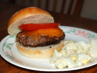 hamburger_500x375