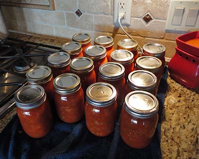 pints sloppy joes