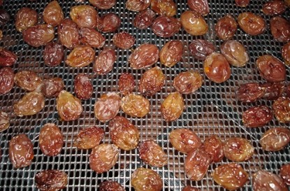 raisins 24hrs