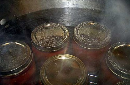 Dede's "Rotel" Style Canned Tomatoes