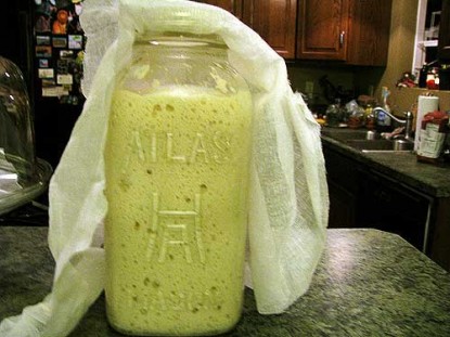 Sourdough Starter