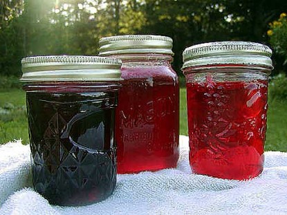 Flower and Herb Jellies