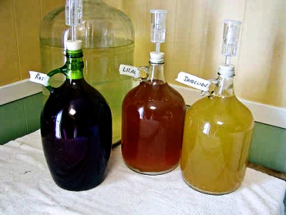 Simple Apple Wine