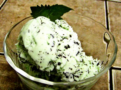 Easy Mint Ice Cream