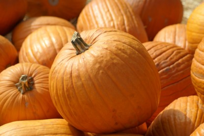 Pumpkin Twinkie Dessert