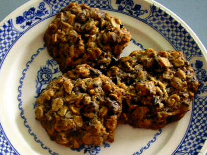 Oat Chocolate Coconut Cookies
