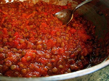 Spicy Lentil Sauce