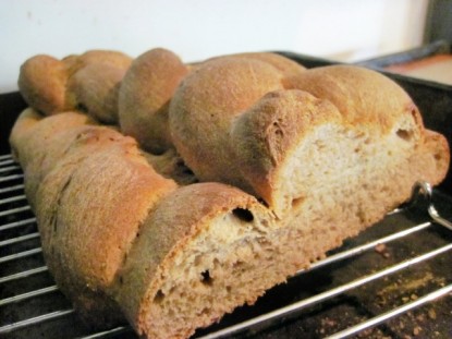 Larissa's Wheat Challah Bread