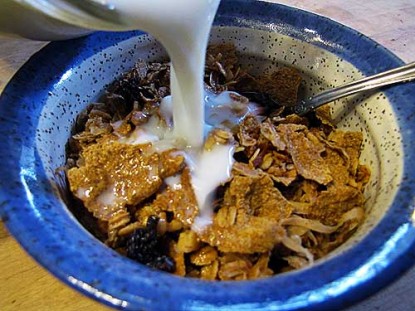 Toasted Oat and Bran Cereal with Nuts and Fruit