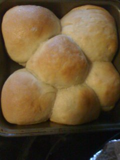 Fast and Easy Yeasty Rolls