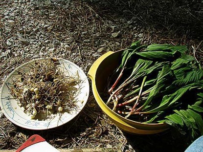 How to Prepare Ramps