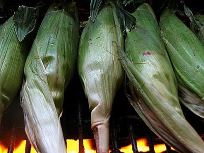 Corn Grilled in the Husk