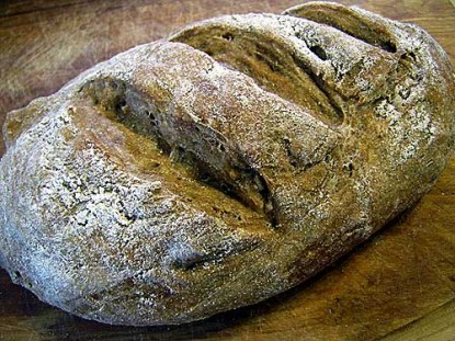 Whole Wheat Ciabatta