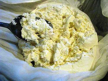 Ricotta