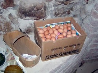Cold Cellar Food Storage