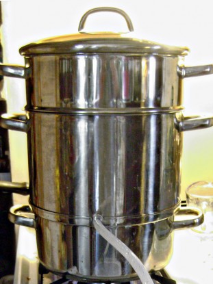 Steam Juicer for Canning-5 Quart, Stainless Steel Fruit Vegetables