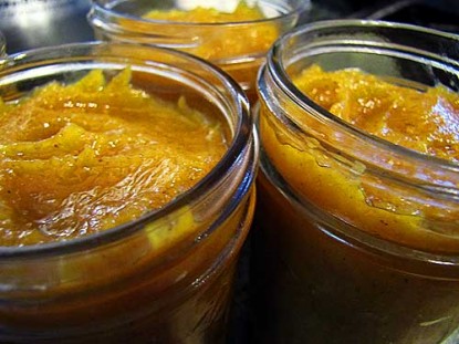 Spiced Winter Squash Butter