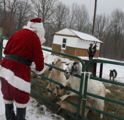 Santa-goats2009
