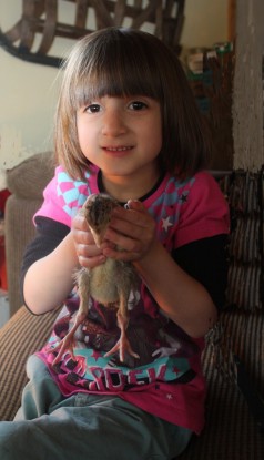 Grace-with-chicken-04-17-11.jpg