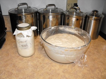 Sourdough English Muffins