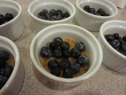 Individual Blueberry Cheesecakes