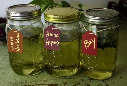 Simple Herb Syrups