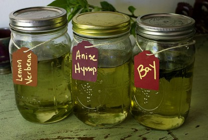 Lemon Verbena Simple Syrup Recipe