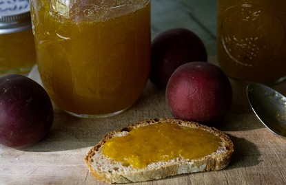 apricot-anise-hyssop-jam-on-bread