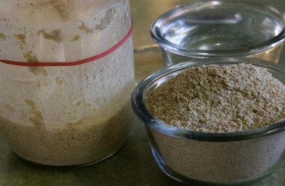 natural-yeast-ready-to-feed-with-flour-in-bowl