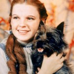 Profile picture of Toto's Mom