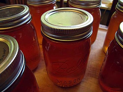 Apricot  Jelly