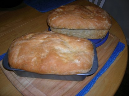 Sourdough Bread and Starter