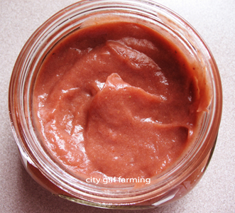 Rhubarb Ketchup