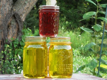 Honey from the Steam Juicer - Farm Bell Recipes